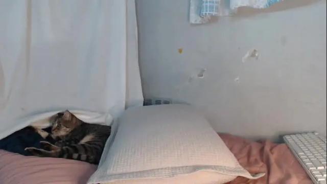Image 2 of ayantipondz69 Stream on Chaturbate on 2 months ago