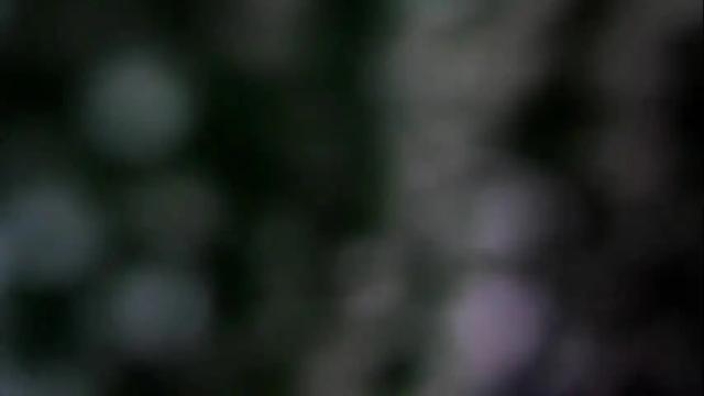 Image 4 of aylaislem Stream on Chaturbate on 1 month ago
