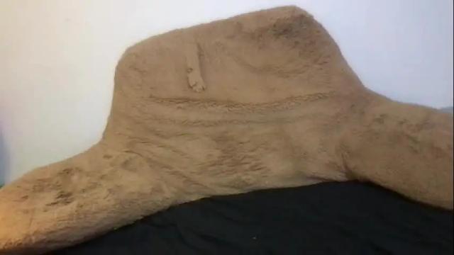 Image 2 of ayyo222 Stream on Chaturbate on 20 days ago
