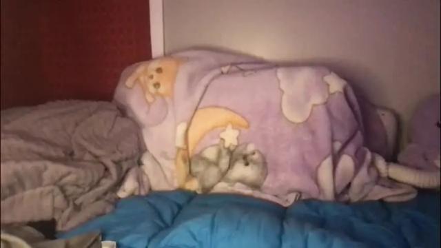 Image 3 of ayyo222 Stream on Chaturbate on 20 days ago