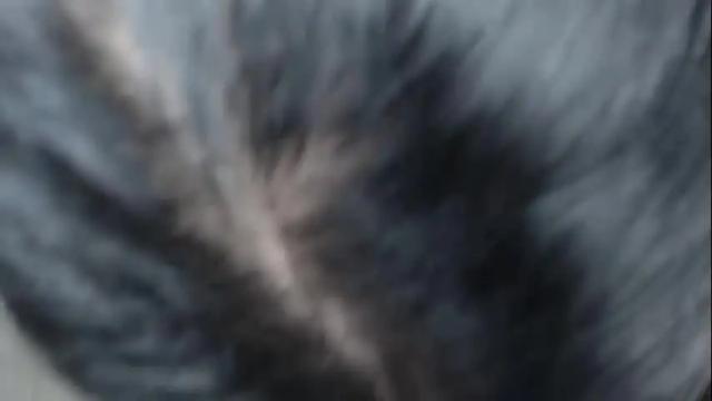 Image 4 of babyamandaxx Stream on Chaturbate on 1 month ago