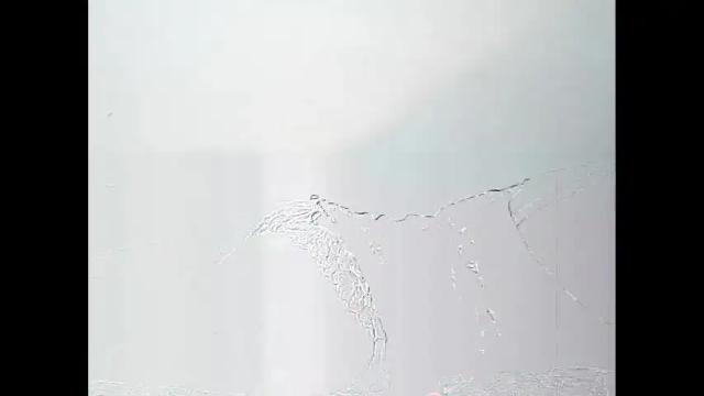 Image 6 of babymine18 Stream on Chaturbate on 3 months ago