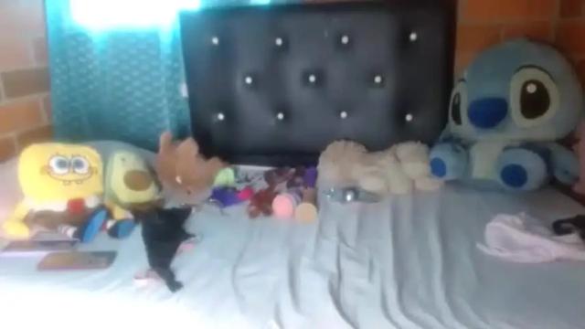 Thumbnail 3, bad_influenceer's Stream at Chaturbate, 17 months ago