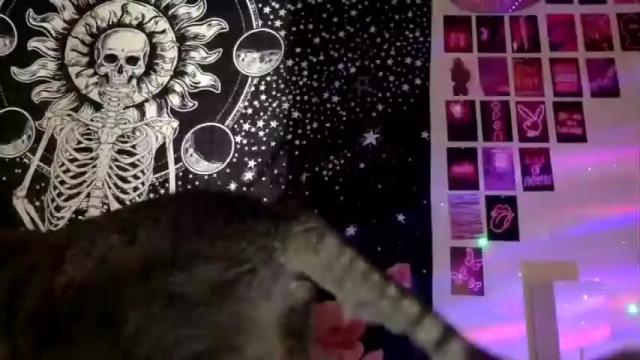 Image 3 of badbarbiebaby Stream on Chaturbate on 15 months ago