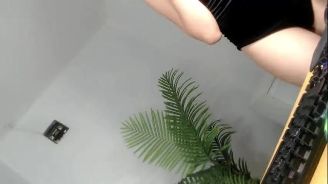 Thumbnail 3, baddie_bunnyx's Stream at Chaturbate, 1 month ago