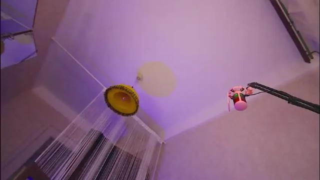 Image 6 of badwebcamgirl Stream on Chaturbate on 2 months ago