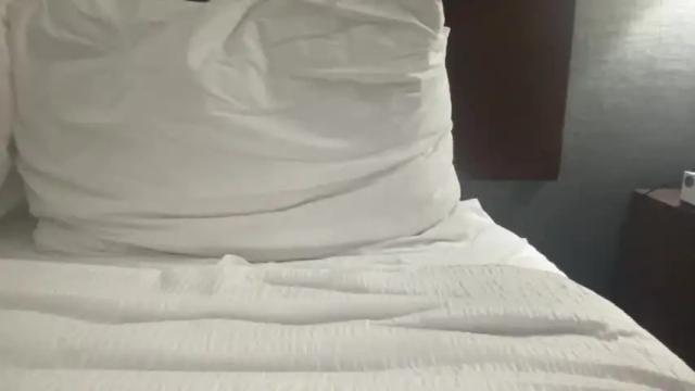 Image 6 of bambidixon Stream on Chaturbate on 13 months ago