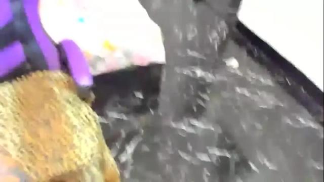 Image 10 of barbara_anal_squirt Stream on Chaturbate on 4 days ago