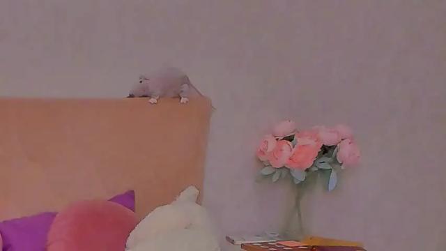 Image 2 of barbara_bb Stream on Chaturbate on 14 months ago