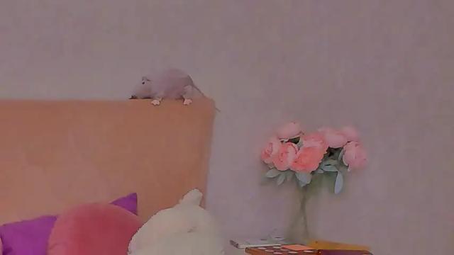 Image 3 of barbara_bb Stream on Chaturbate on 14 months ago