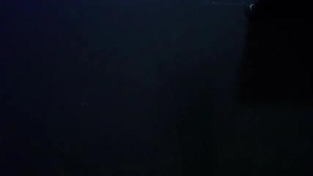 Image 12 of bastian_loana Stream on Chaturbate on 14 months ago
