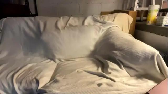 Image 3 of beachymilf Stream on Chaturbate on 1 month ago