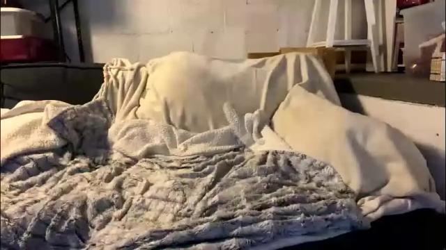 Image 2 of beachymilf Stream on Chaturbate on 1 month ago