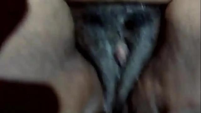 Image 12 of beebeewhunny Stream on Chaturbate on 21 months ago