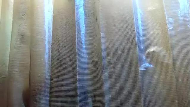Image 3 of beebeewhunny Stream on Chaturbate on 20 months ago