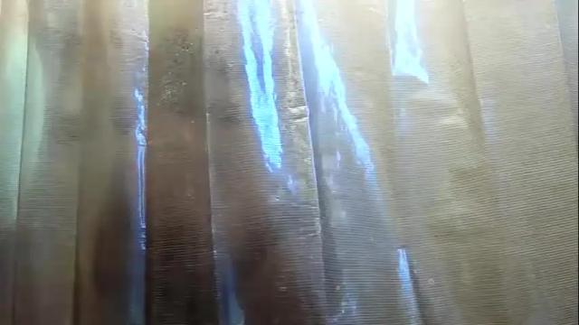Image 4 of beebeewhunny Stream on Chaturbate on 20 months ago