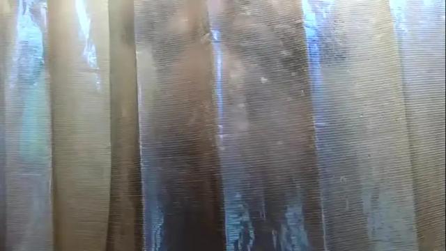 Image 12 of beebeewhunny Stream on Chaturbate on 18 months ago