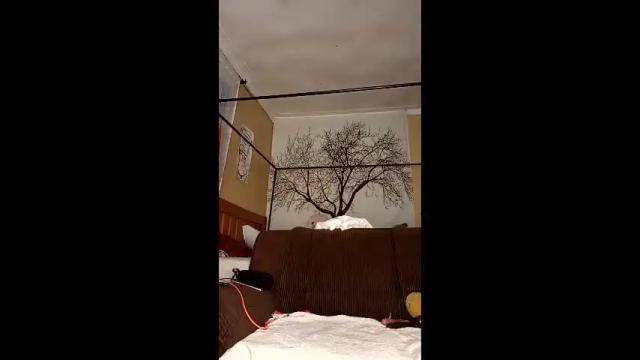 Image 2 of beencee2 Stream on Chaturbate on 16 days ago