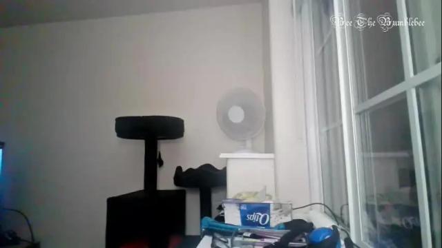 Image 11 of beethebumblebee Stream on Chaturbate on 2 days ago