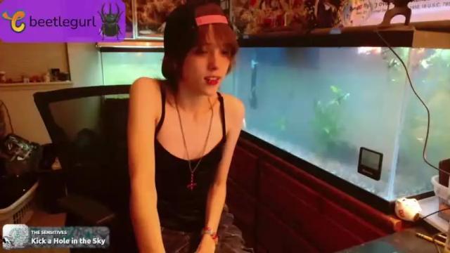 Image 3 of beetlegurl Stream on Chaturbate on 19 months ago