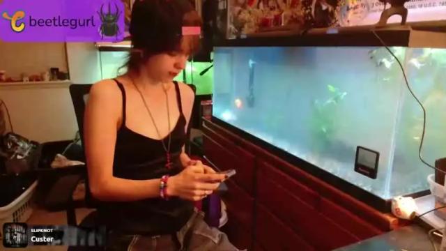 Image 4 of beetlegurl Stream on Chaturbate on 19 months ago