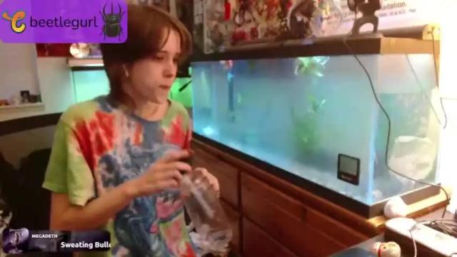 Thumbnail 2, beetlegurl's Stream at Chaturbate, 18 months ago
