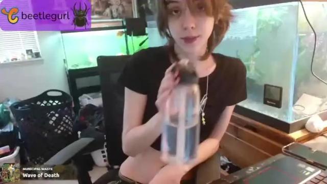 Thumbnail 2, beetlegurl's Stream at Chaturbate, 16 months ago