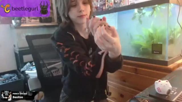Thumbnail 3, beetlegurl's Stream at Chaturbate, 14 months ago
