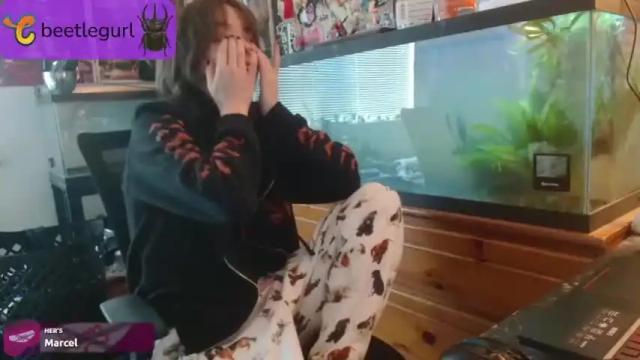 Thumbnail 2, beetlegurl's Stream at Chaturbate, 13 months ago