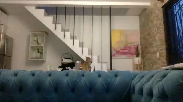 Image 3 of bella_bite Stream on Chaturbate on 17 months ago