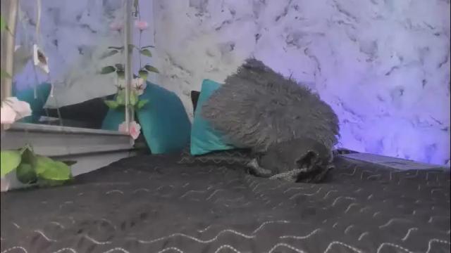 Image 6 of bella_desi Stream on Chaturbate on 15 days ago