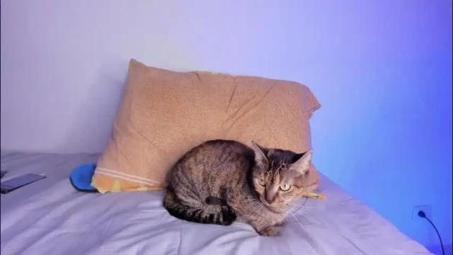 Image 11 of bella_jone Stream on Chaturbate on 2 months ago