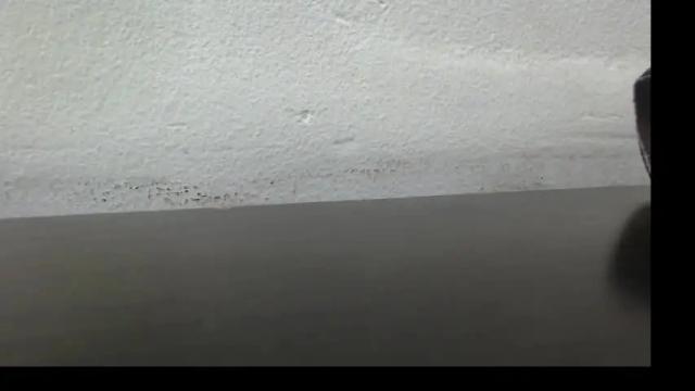 Image 8 of bella_lady_1_ Stream on Chaturbate on 7 days ago