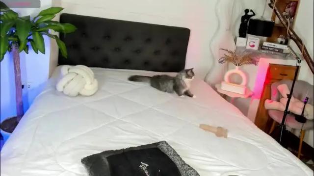Image 8 of bellaporchxxx Stream on Chaturbate on 22 days ago