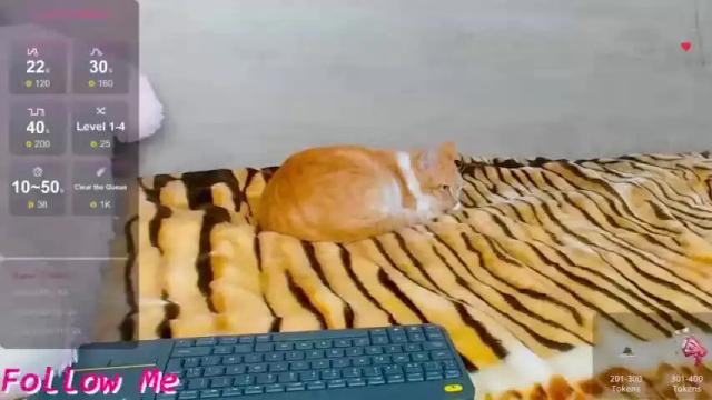 Image 6 of bellatuabrunette Stream on Chaturbate on 23 months ago