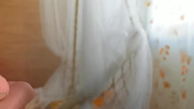 Thumbnail 3, bellatuabrunette's Stream at Chaturbate, 22 months ago