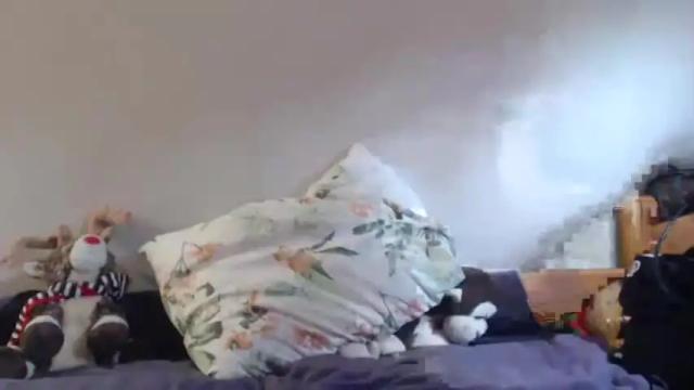 Image 6 of bernisse Stream on Chaturbate on 18 months ago