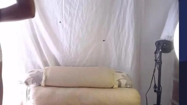 Image 12 of bianka_harper Stream on Chaturbate on 15 months ago