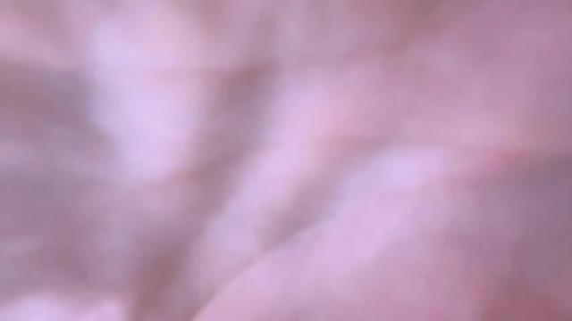 Image 10 of big_ass_blonde Stream on Chaturbate on 14 months ago