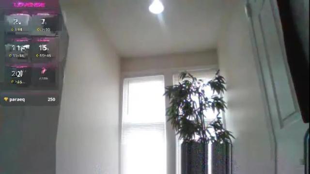 Image 8 of bigboobs_bouncin Stream on Chaturbate on 2 months ago
