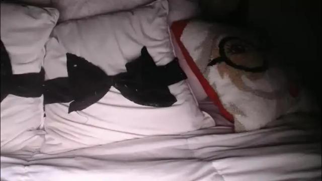 Image 4 of bigdicktrannynicole Stream on Chaturbate on 1 month ago