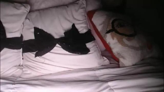 Image 7 of bigdicktrannynicole Stream on Chaturbate on 1 month ago