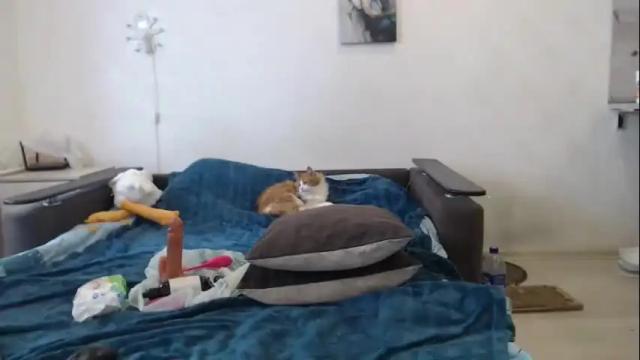 Image 7 of bigtwinsomg Stream on Chaturbate on 1 month ago