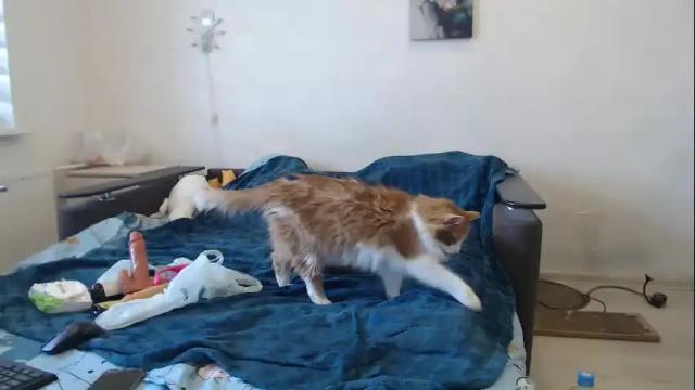 Image 6 of bigtwinsomg Stream on Chaturbate on 29 days ago