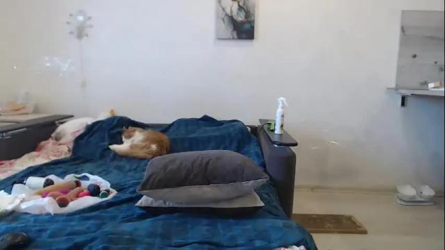 Image 11 of bigtwinsomg Stream on Chaturbate on 4 days ago