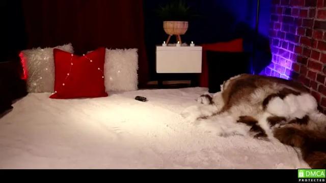 Image 6 of bikerbarbiehu Stream on Chaturbate on 17 months ago