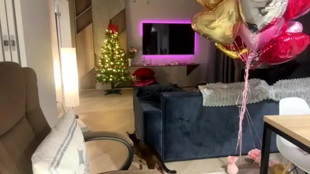 Image 7 of bitter_moon Stream on Chaturbate on 1 month ago