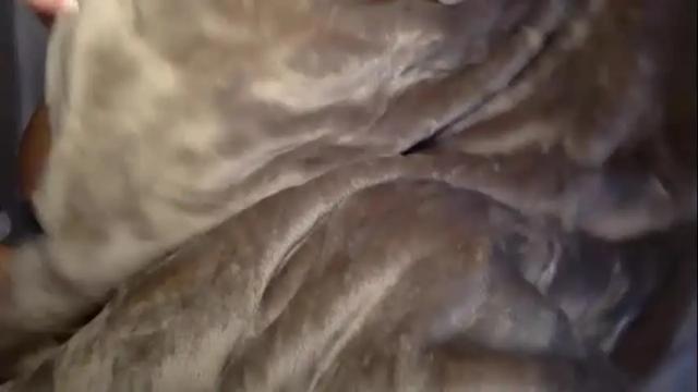 Image 10 of blondebunnyx1 Stream on Chaturbate on 21 months ago