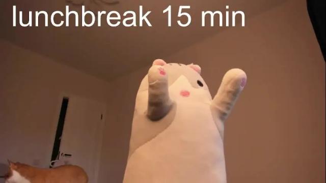 Image 6 of blueberrynight Stream on Chaturbate on 1 month ago