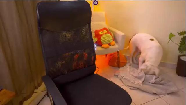 Image 10 of bluemysticlady Stream on Chaturbate on 3 days ago